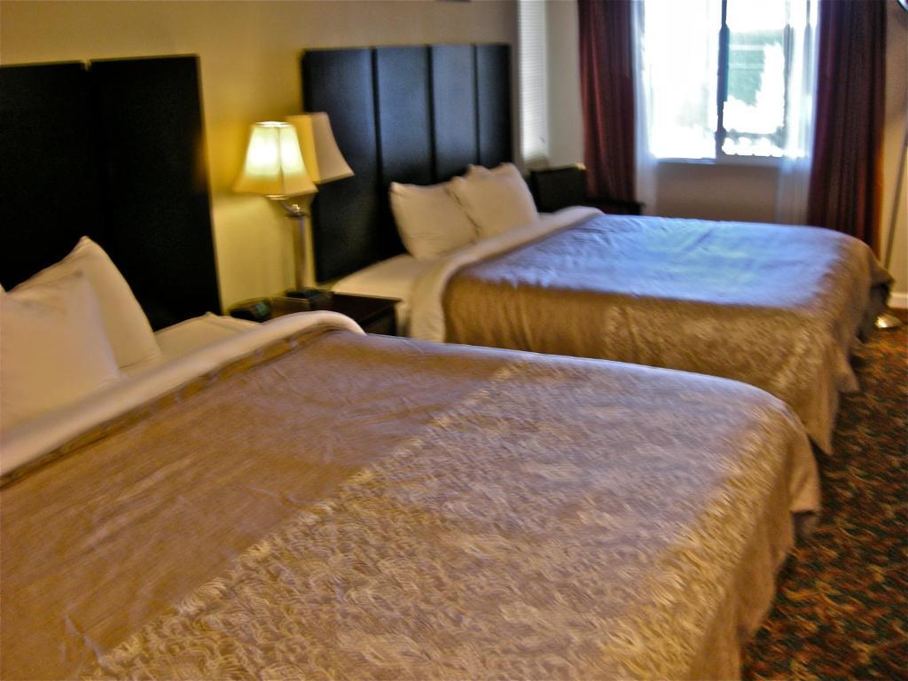 Global Inn Кус Бей Екстериор снимка